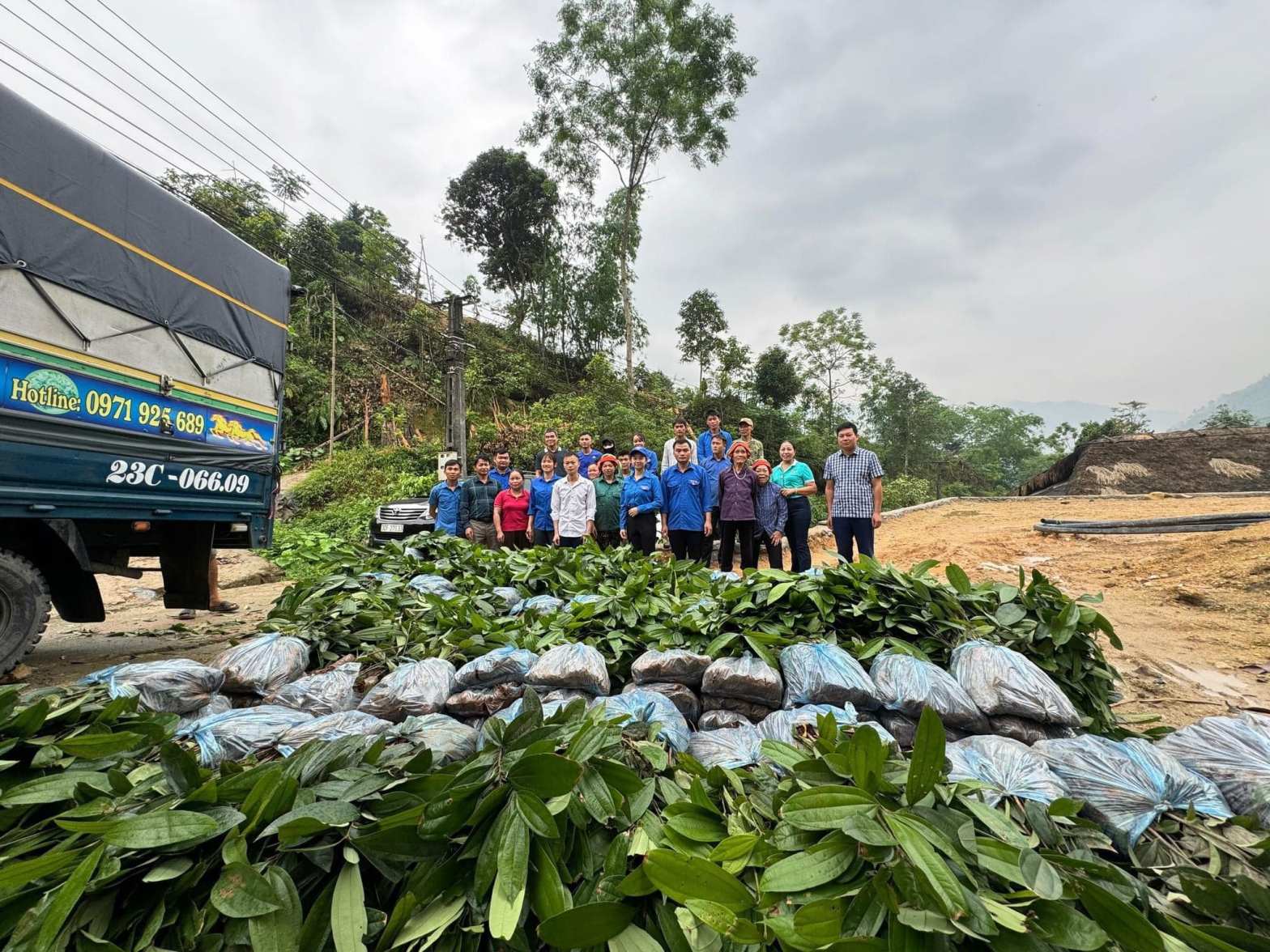 Empowering Sustainable Futures: E4HC’s Ongoing Initiative in Vi&nbsp;Xuyen