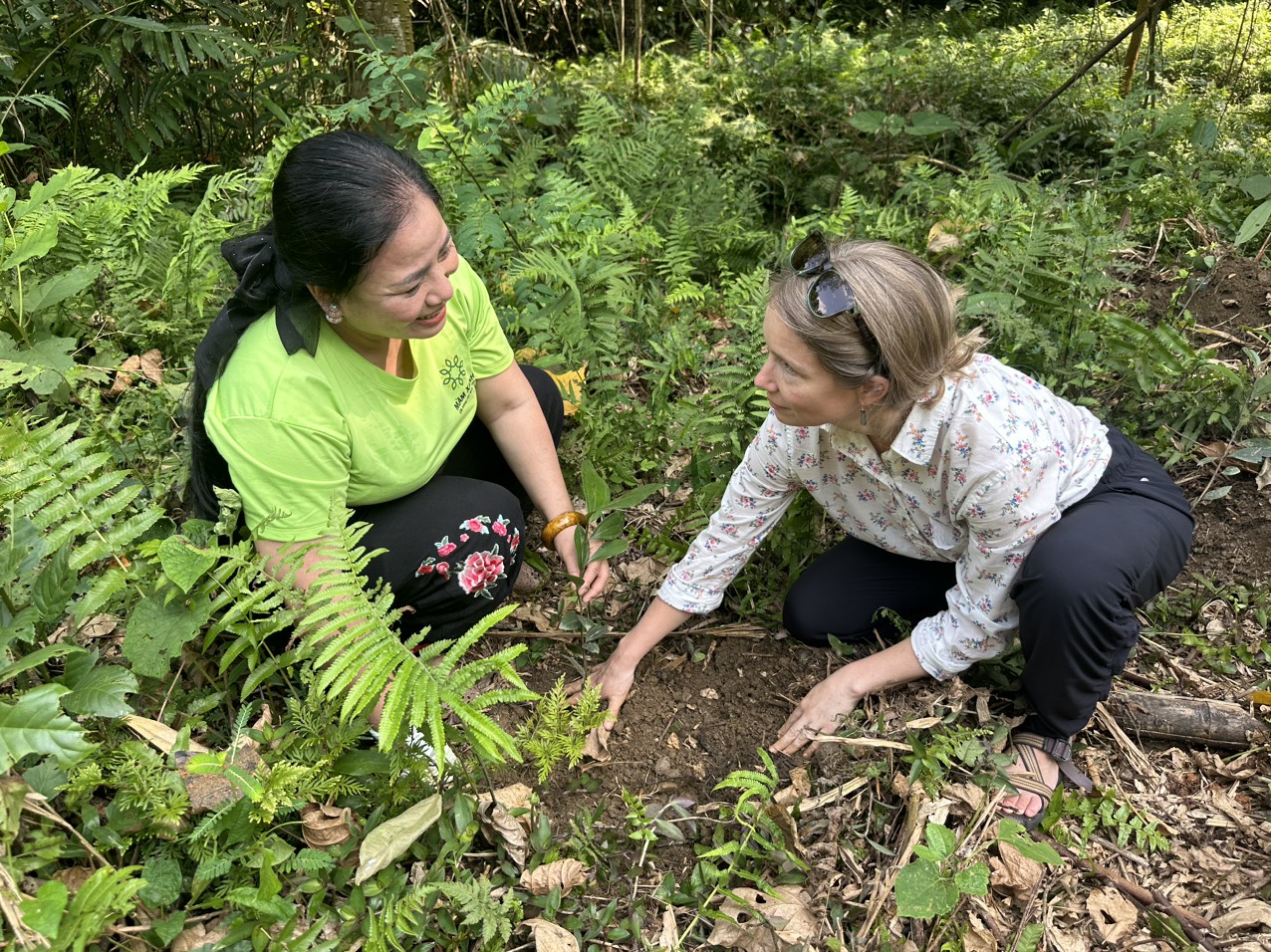 Environmental Restoration and Sustainable Livelihoods: E4HC’s Collaborative Initiative in Vi Xuyen&nbsp;District