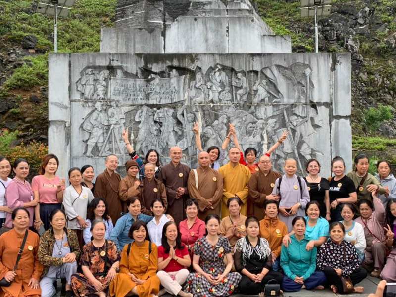 Cinnamon Tree Distribution: Phase 1&nbsp;Summary